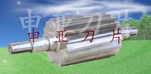 鿴ͼƬ