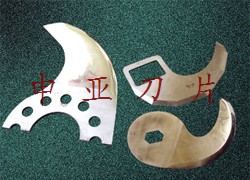 鿴ͼƬ