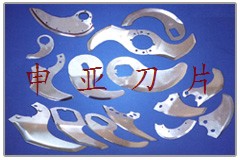 鿴ͼƬ